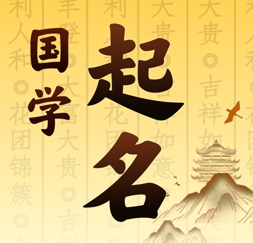 定安国学起名 人工起名一对一